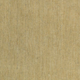 Amer Arizona ARZ-15 Camel area rug - color swatch view