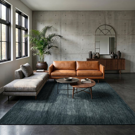 Amer Arizona ARZ-6 Dark Gray area rug - lifestyle view