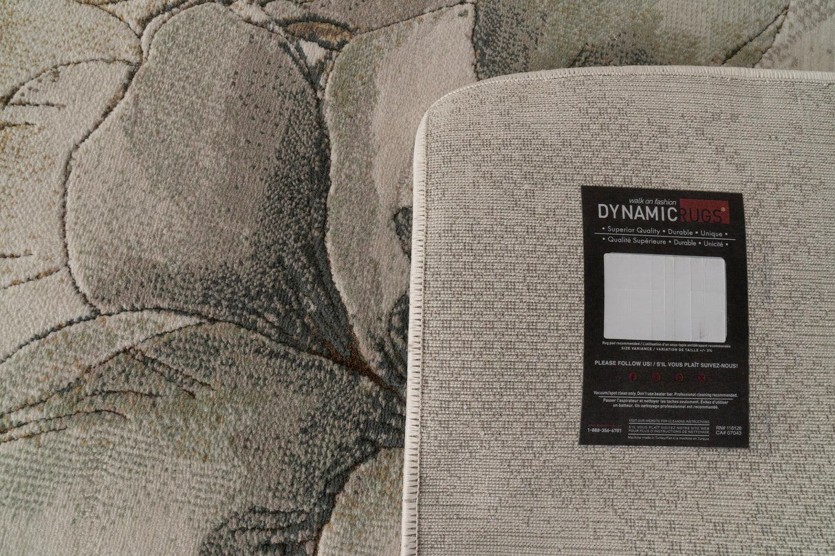 Dynamic Rugs Aspire 11360 Power Loomed Contemporary Cream/Sage/Multi Rug
