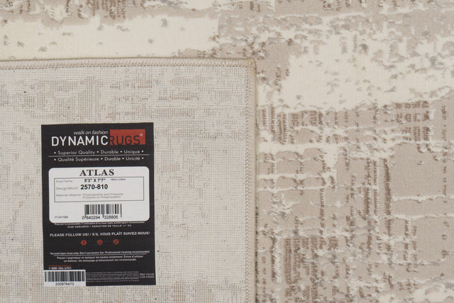 Beige and ivory modern power-loomed rug with abstract distressed pattern and border