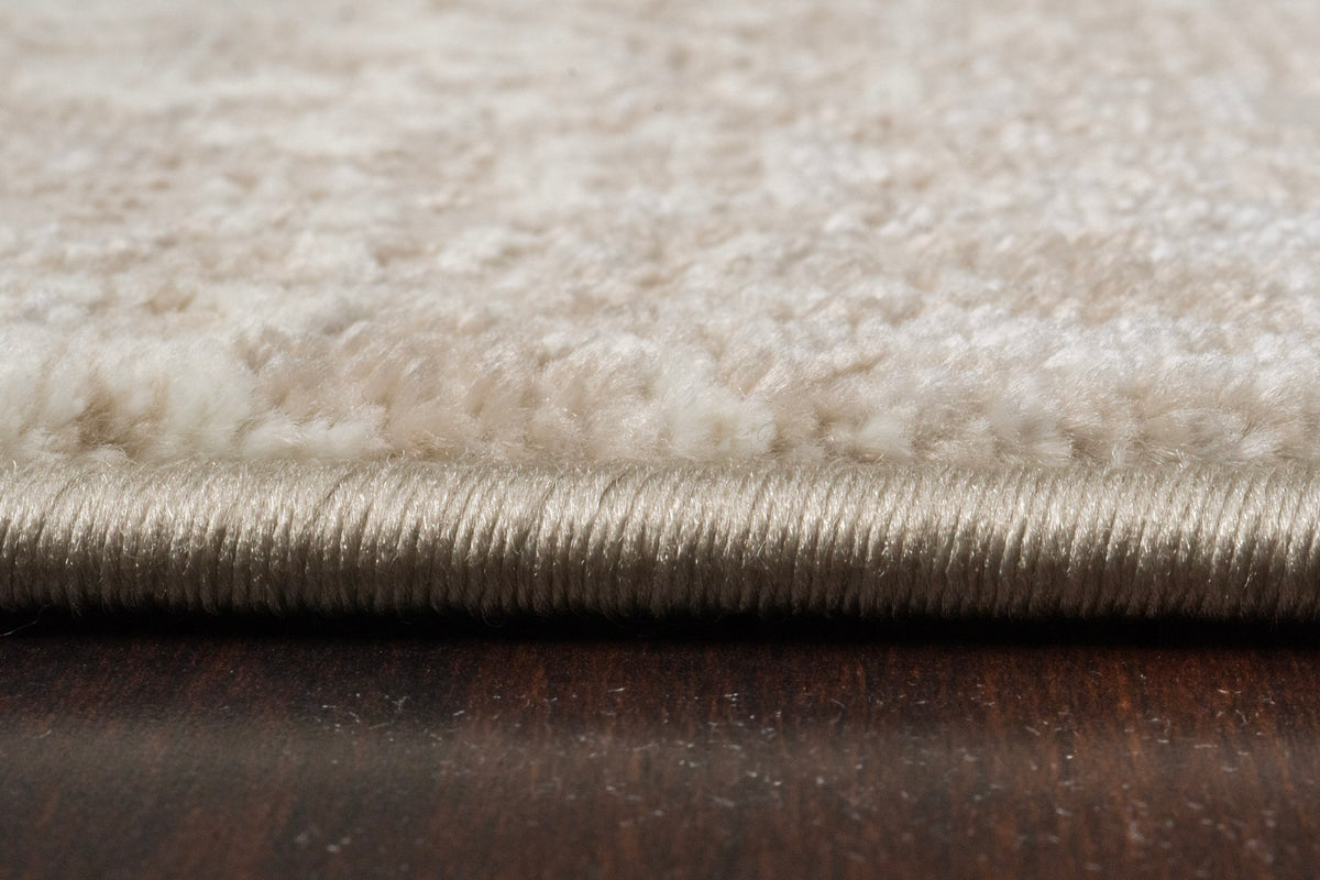 Dynamic Rugs Atlas 2573 Power Loomed Transitional Beige Rug