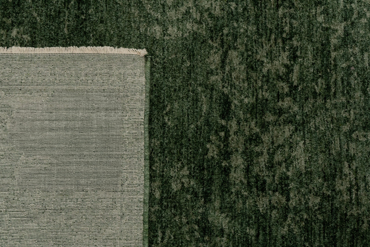 Dynamic Rugs Atmos 11980 Power Loomed Traditional Green Rug