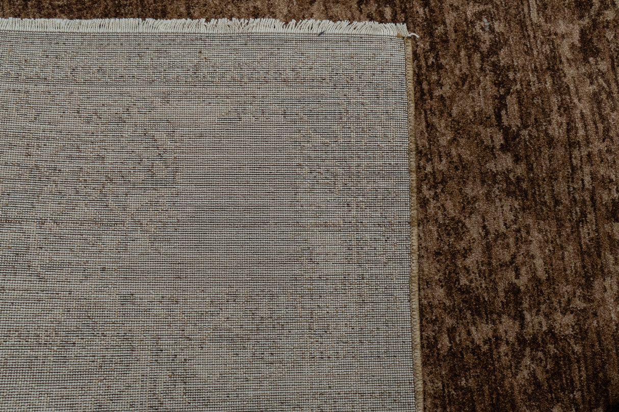 Dynamic Rugs Atmos 11980 Power Loomed Traditional Brown/Beige Rug