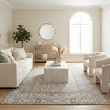 Amer Berlin BER-4 Gray / Beige area rug - lifestyle view