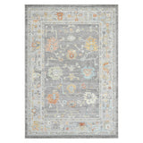 Amer Bohemian Classic Bordered Indoor-Outdoor Taupe Area Rug
