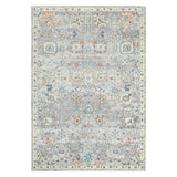 Amer Bohemian Classic Floral Indoor-Outdoor Gray Area Rug