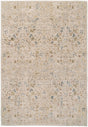 Dynamic Rugs Bloomfield 19601 Power Loomed Transitional Cream/Multi Rug