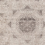 Amer Cambridge CAM-31 Light Gray area rug - color swatch view