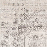Amer Cambridge CAM-33 Platinum area rug - color swatch view