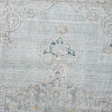 Amer Century Vintage Medallion Power-Loom Sea Mist Area Rug