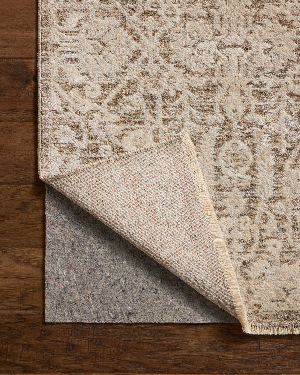 Loloi Clarisse CLS-06 Traditional Power Loomed Fog, Bone Rug