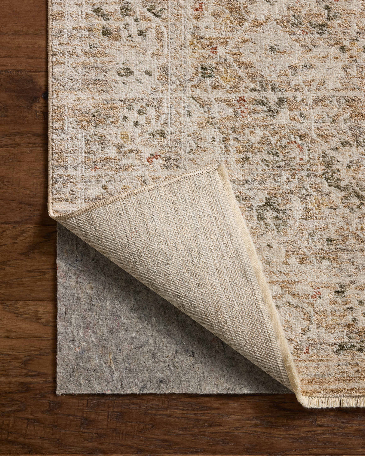 Loloi Clarisse CLS-07 Traditional Power Loomed Natural, Granite Rug