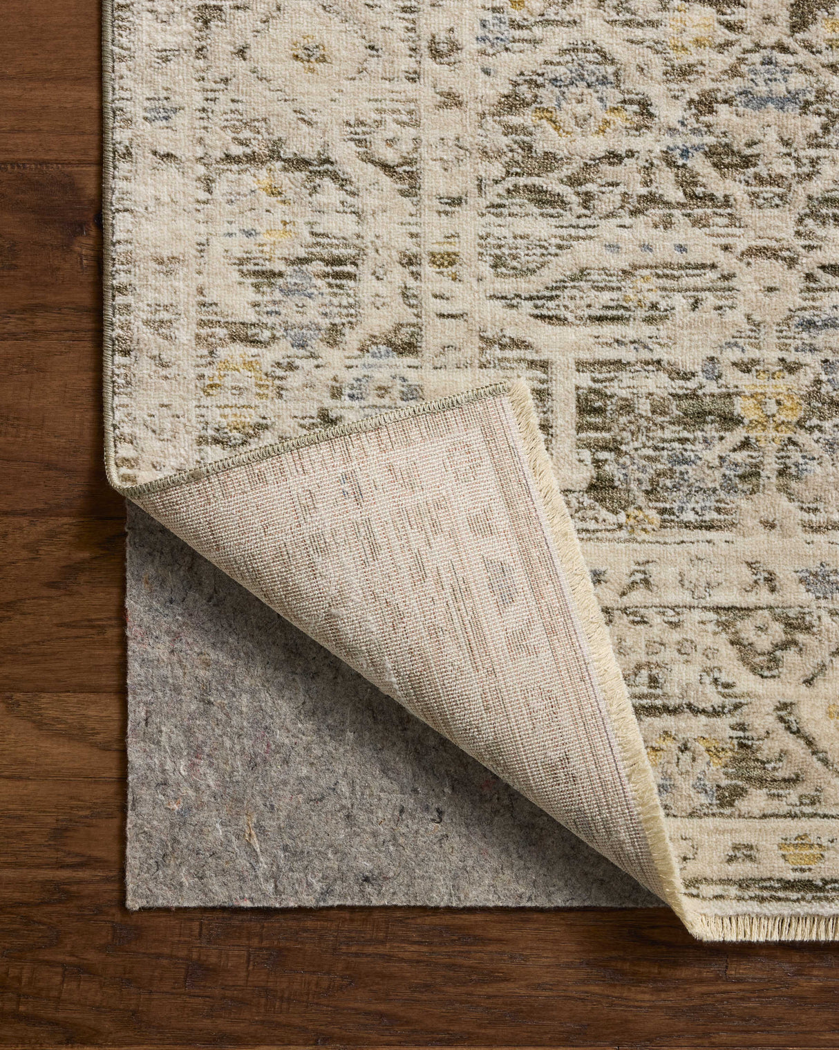 Loloi Clarisse CLS-08 Traditional Power Loomed Olive, Ivory Rug