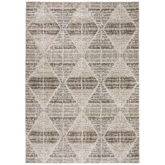 Dalyn Carmona Co8 Driftwood Area Rug