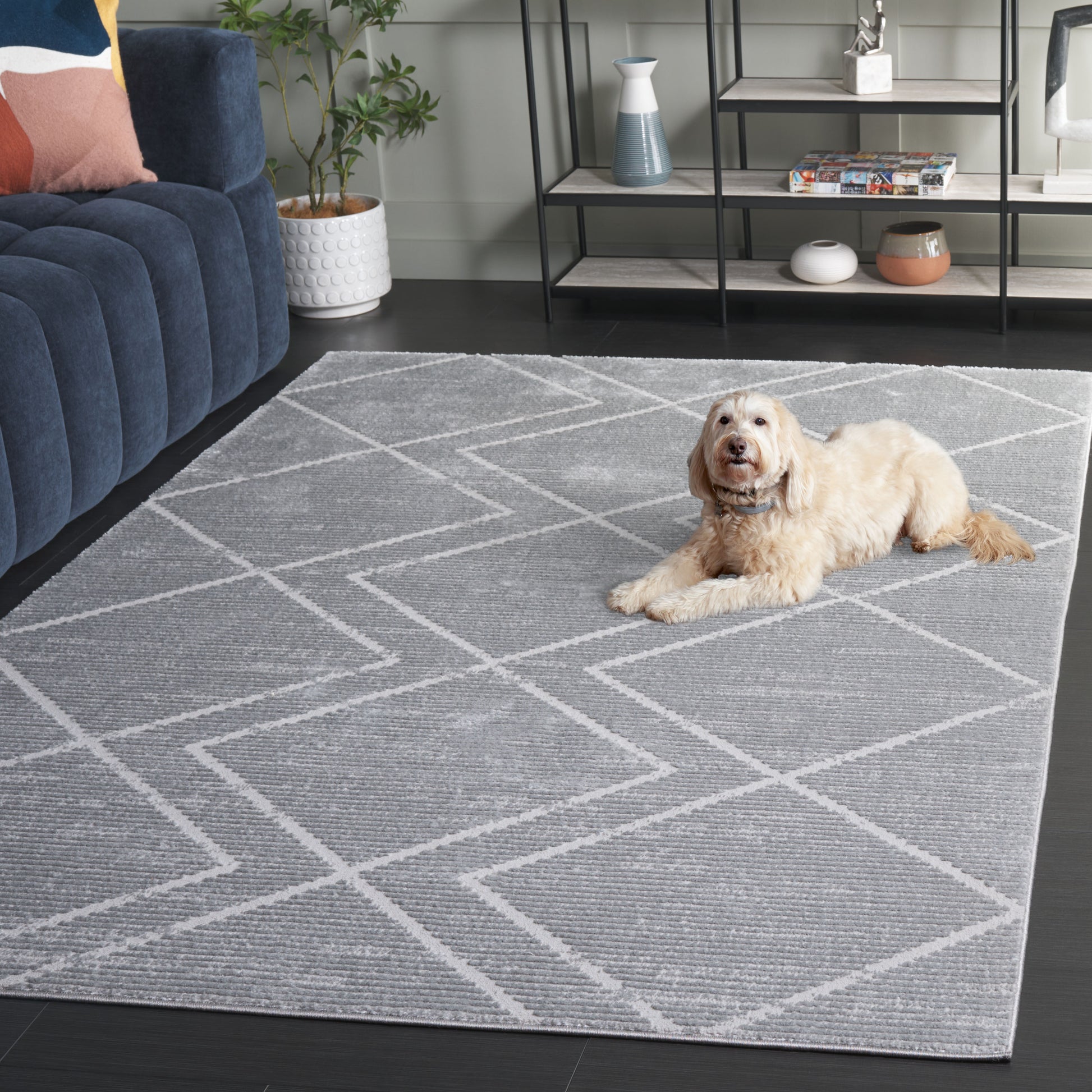 Safavieh Carter Crt214F Grey/Light Grey Area Rug