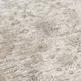 Dalyn Cyprus CY10 Machine Made Traditional Gray Rug