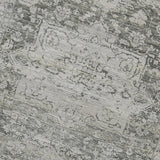 Amer Dazzle DAZ-8 Ivory / Iron area rug - close-up view