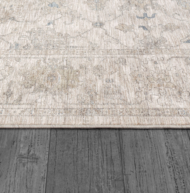 Dynamic Rugs Dharma 12042 Power Loomed Transitional Ivory/Beige Rug