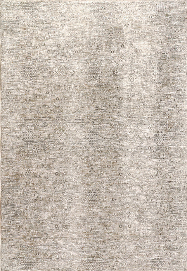 Dynamic Rugs Dharma 12043 Power Loomed Transitional Beige/Multi Rug - rectangular rug view