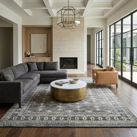 Amer Divine DIV-4 Gray area rug - lifestyle view