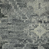 Amer Divine DIV-4 Gray area rug - color swatch view