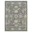 Amer Divine DIV-5 Brown / Beige area rug - product view