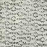 Amer Dune DUN-5 Gray area rug - color swatch view