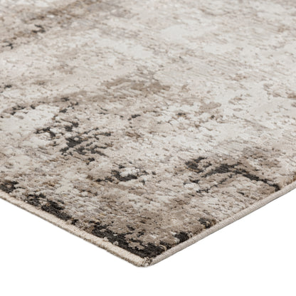 Dalyn Denizi Dz2 Putty Area Rug