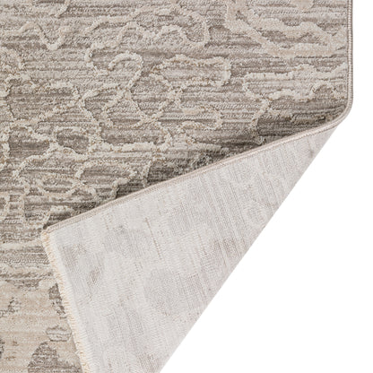 Dalyn Denizi Dz6 Silver Area Rug