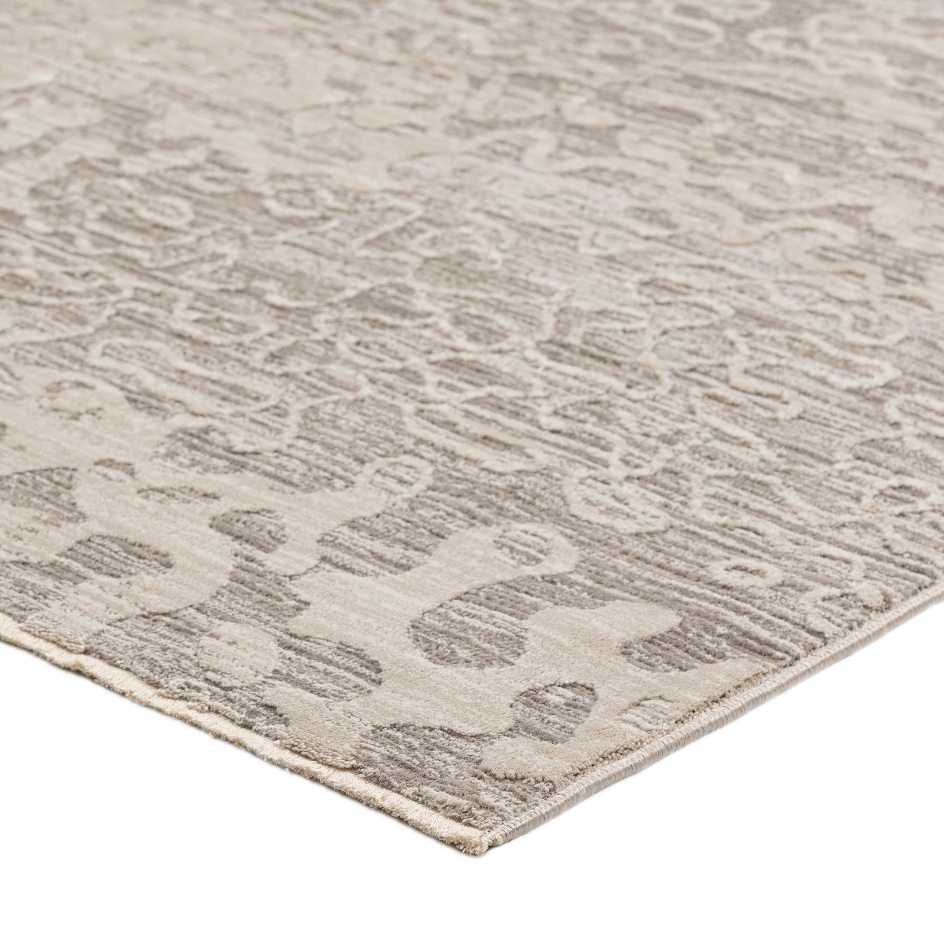 Dalyn Denizi Dz6 Silver Area Rug