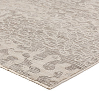 Dalyn Denizi Dz6 Silver Area Rug