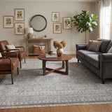 Amer Empress EMP-5 Gray / Brown area rug - lifestyle view