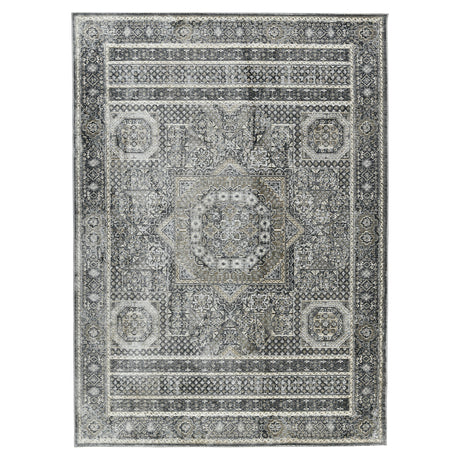 Amer Fairmont FAI-6 Charcoal area rug - product view