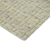 Amer Houston HOU-2 Beige area rug - corner view