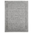 Amer Inara INA-10 Light Gray area rug - product view