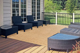 Natural beige modern area rug with subtle speckled pattern, rectangle