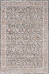 Dynamic Rugs Lara 14621 Power Loomed Traditional Beige/Grey/Cream Rug