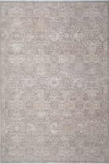 Dynamic Rugs Lara 14625 Power Loomed Traditional Beige/Taupe Rug
