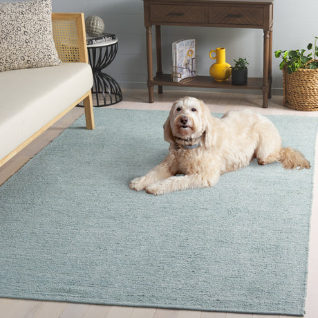 Safavieh Montauk Mtk321K Turquoise Rug.