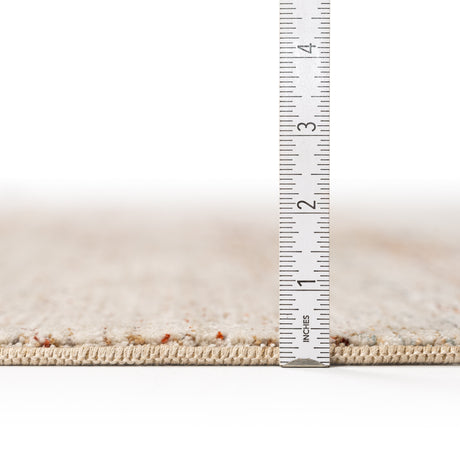Dalyn Neola NA3 Machine Made Transitional Brown Rug