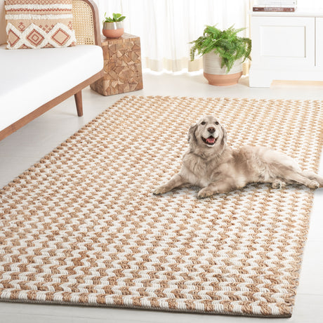 Safavieh Natural Fiber Nf513A Natural/Ivory Rug.