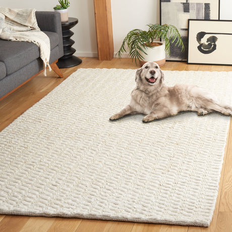 Safavieh Natural Fiber Nf514A Bleach/Ivory Rug.