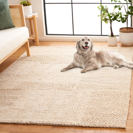 Safavieh Natural Fiber Nf554B Bleach/Ivory Rug.