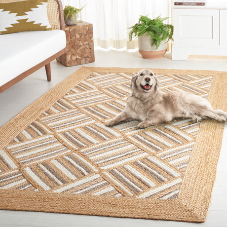 Safavieh Natural Fiber Nf897A Natural/Grey Area Rug