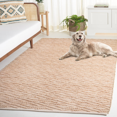 Safavieh Natural Fiber Nfb327A Natural Rug.