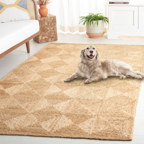 Safavieh Natural Fiber Nfb480A Natural Rug.