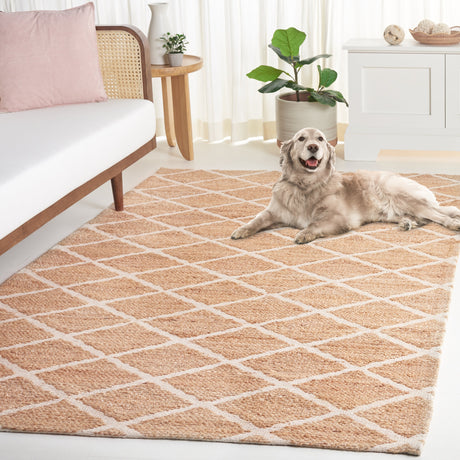 Safavieh Natural Fiber Nfb657A Natural/Ivory Rug.