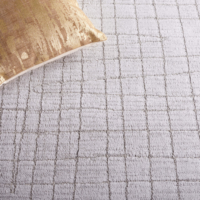Safavieh Neptune Npe864F Light Grey/Grey Rug.