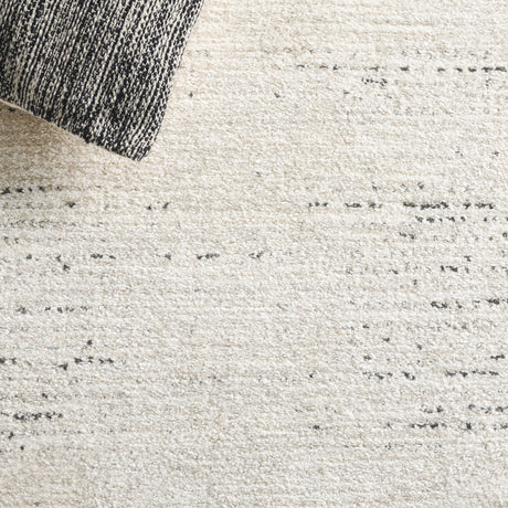 Safavieh Northport Ntp422A Ivory/Charcoal Rug.
