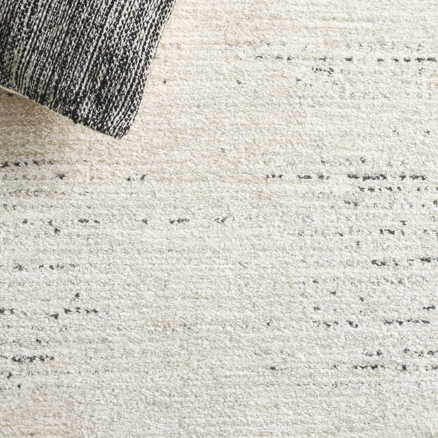 Safavieh Northport Ntp422A Ivory/Charcoal Rug.